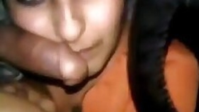 Sucking a huge dick in the car